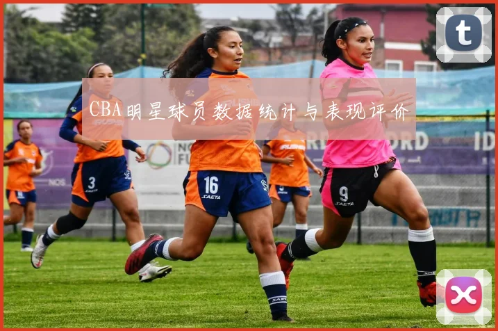 CBA明星球员数据统计与表现评价